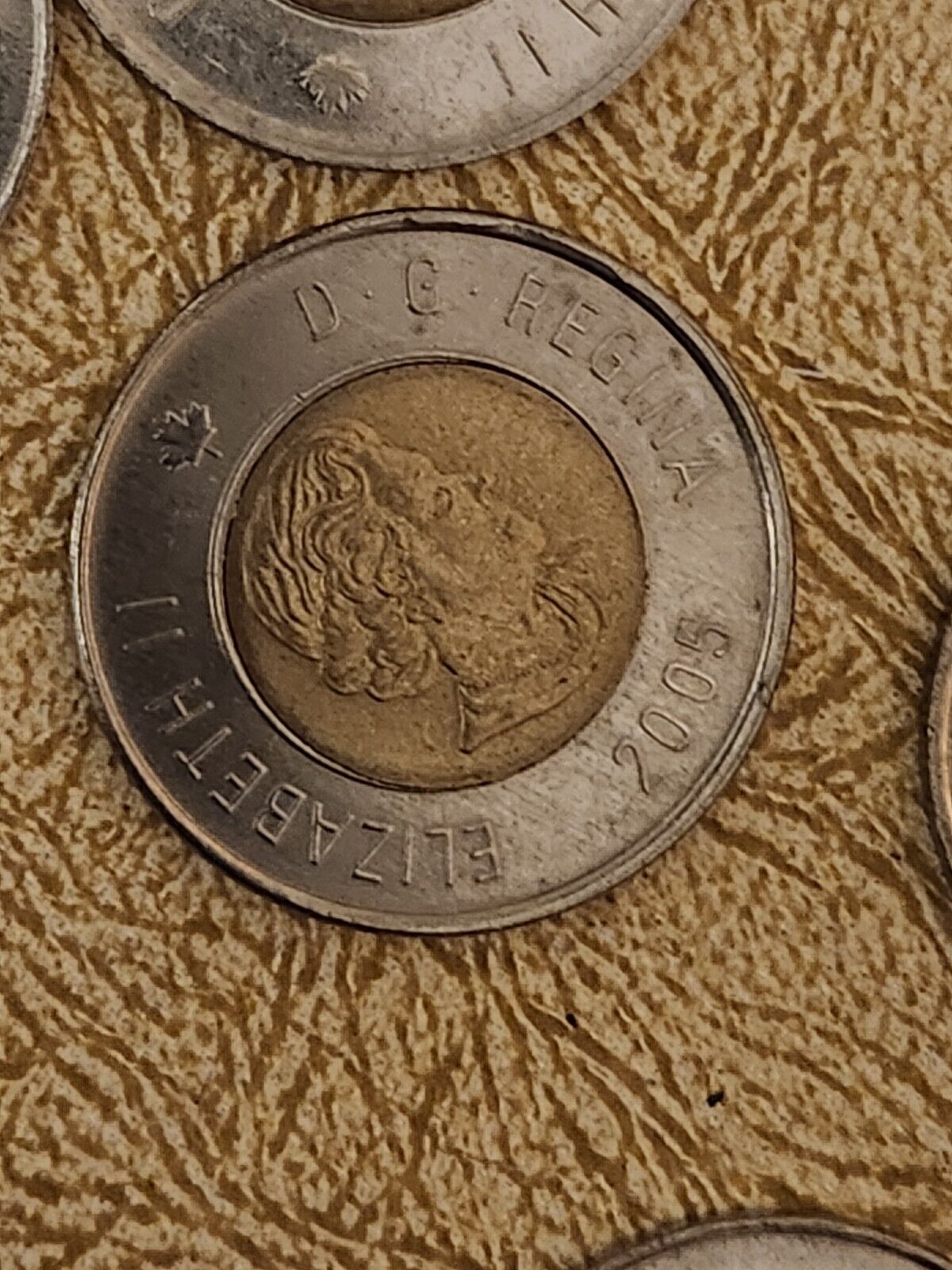 Canada 1996 Toonie Canadian $2 Dollars Twoonie Two Dollar 