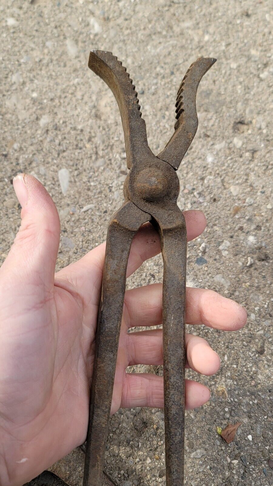 Lot Of 3 ANTIQUE Blacksmith Anvil Nippers Tongs Cutters VINTAGE Tools LOT USA