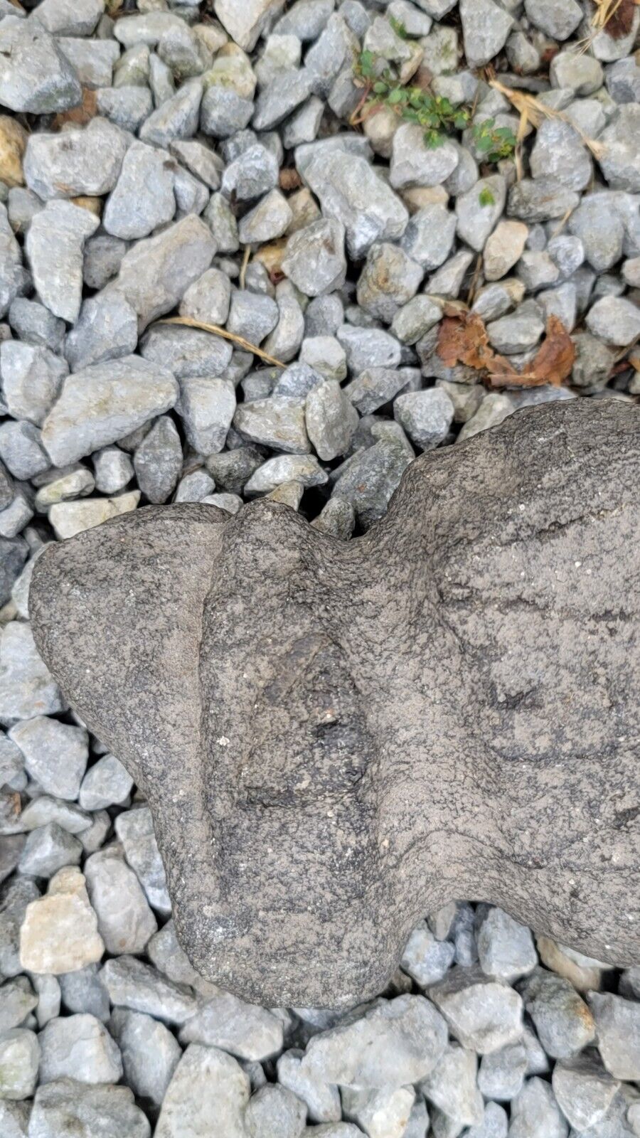 Native American Stone Grinding Stone W/ Two Grooves 